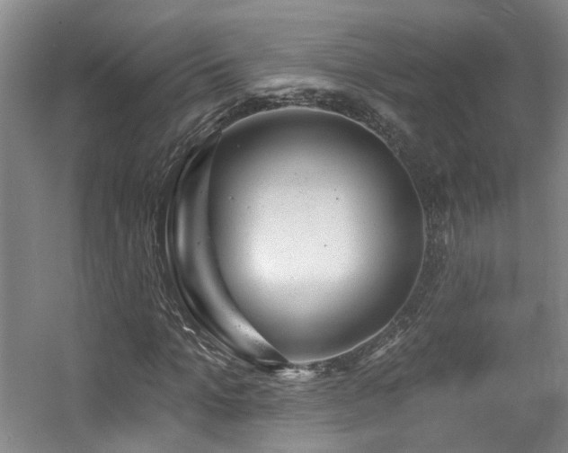 X0000057570965200509161029