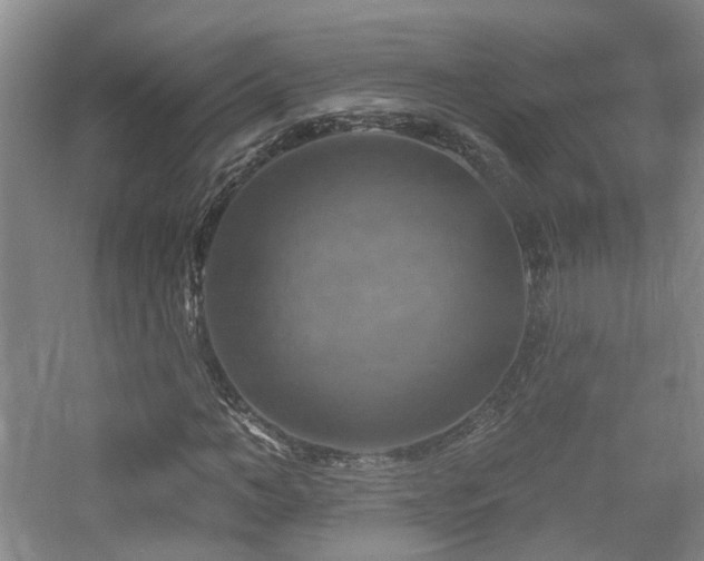 X0000057570966200509161029