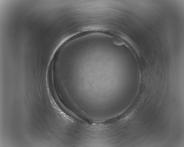 X0000057570983200509161028
