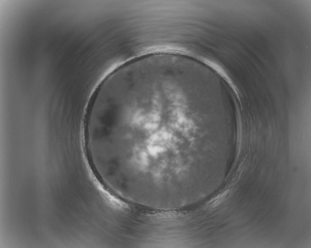 X0000057570999200509161028