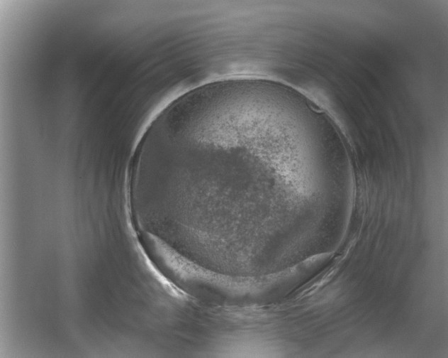 X0000057571006200509161028