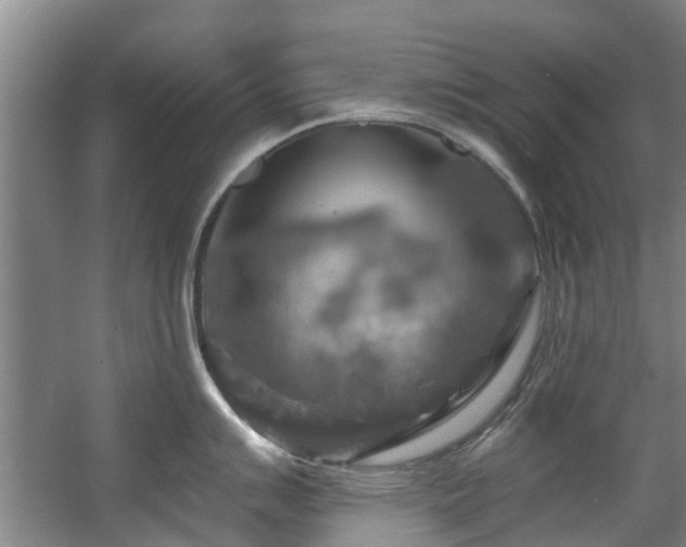 X0000057571007200509161028