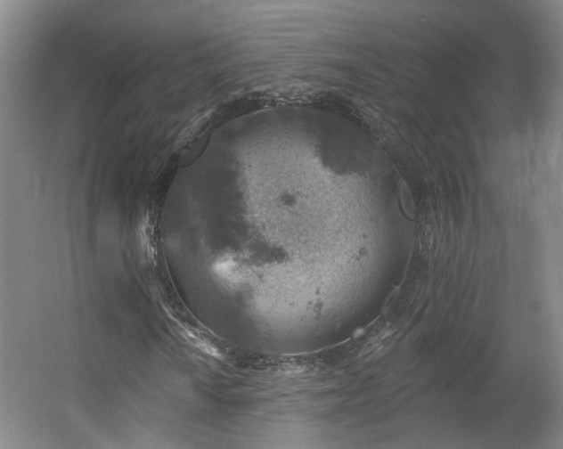 X0000057571010200509161027