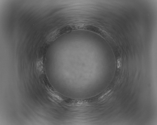 X0000057571011200509161027