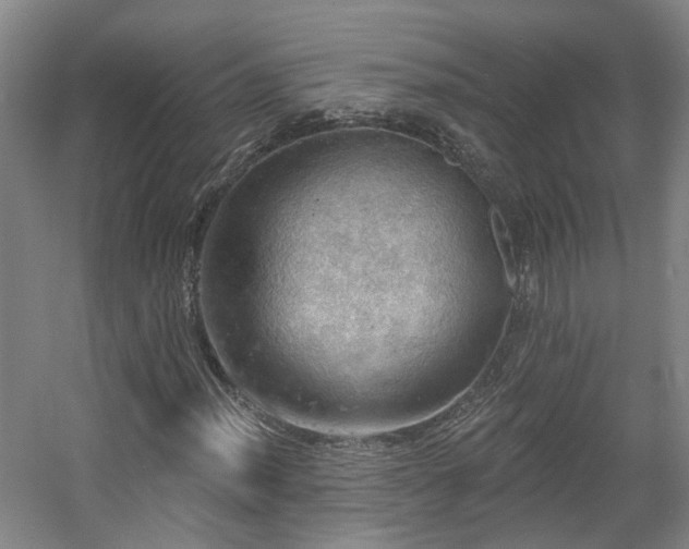 X0000057571012200509161027