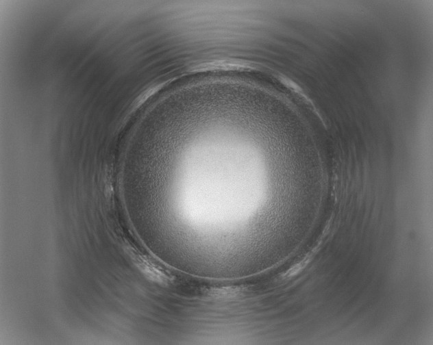 X0000057571017200509161027