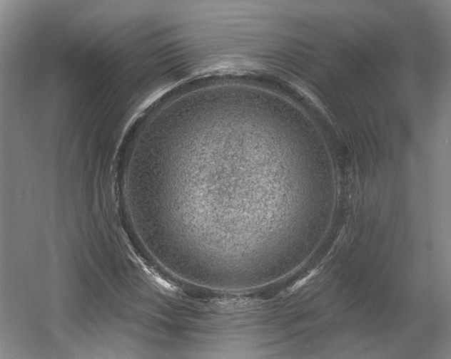 X0000057571018200509161027