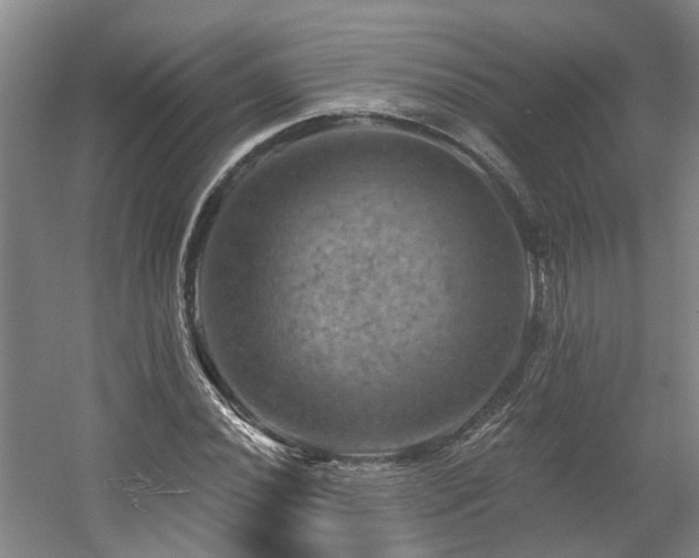 X0000057571020200509161027