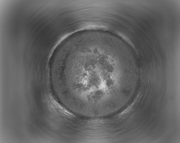 X0000057571021200509161027