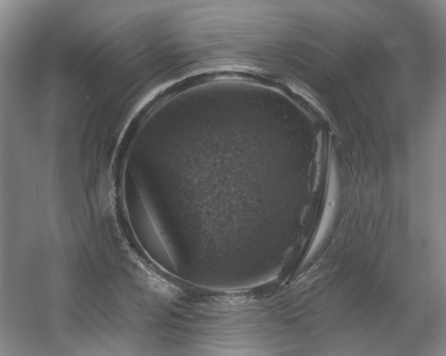 X0000057571024200509161027