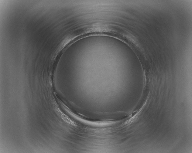 X0000057571025200509161028