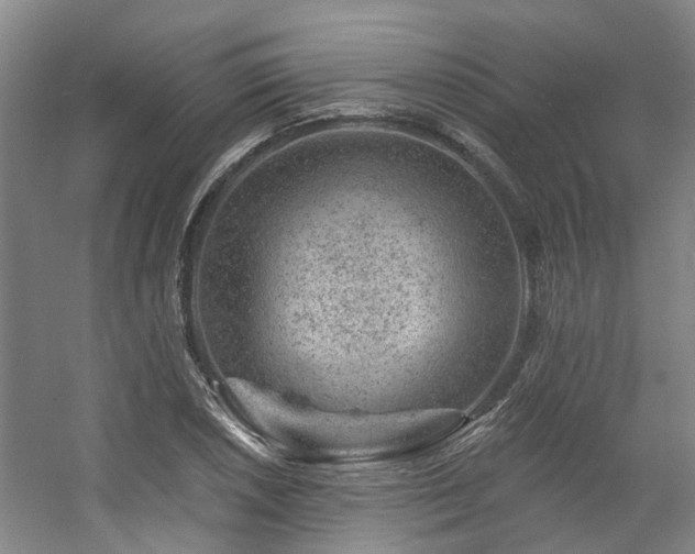 X0000057571026200509161028