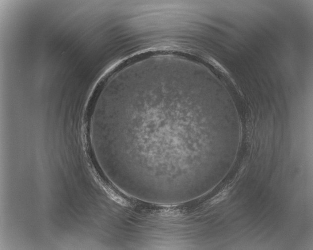 X0000057571029200509161028