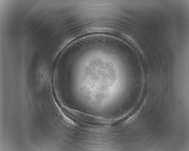 X0000057571033200509161028