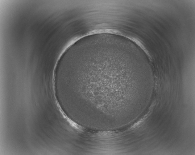 X0000057571046200509161028