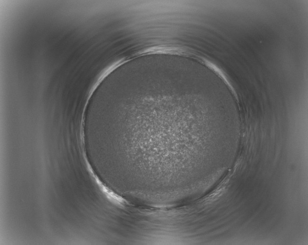 X0000057571050200509161028