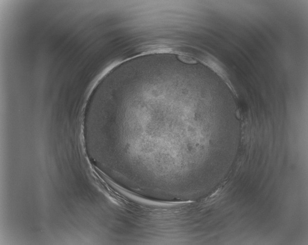 X0000057571051200509161028