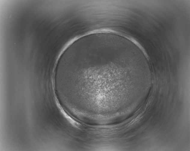 X0000057571054200509161028