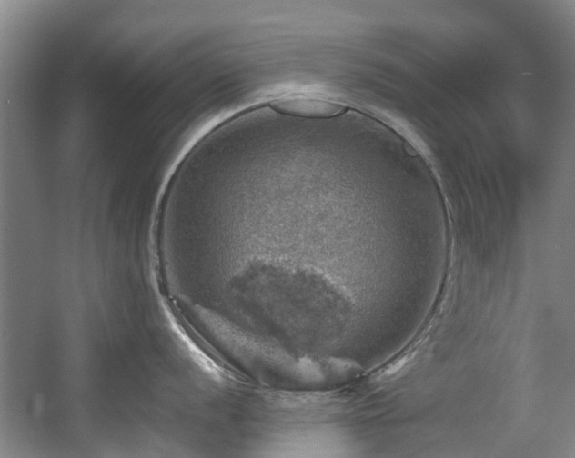 X0000057571056200509161028