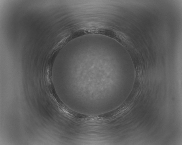 X0000057571060200509161027