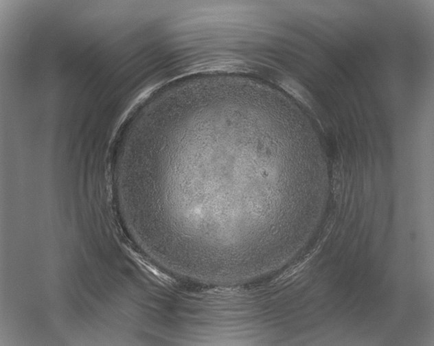 X0000057571067200509161027