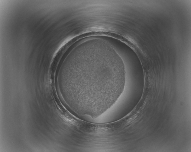 X0000057571070200509161027