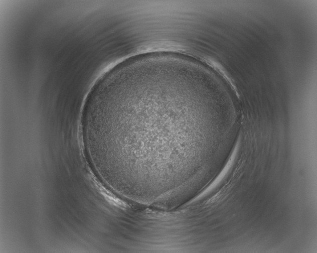 X0000057571072200509161027