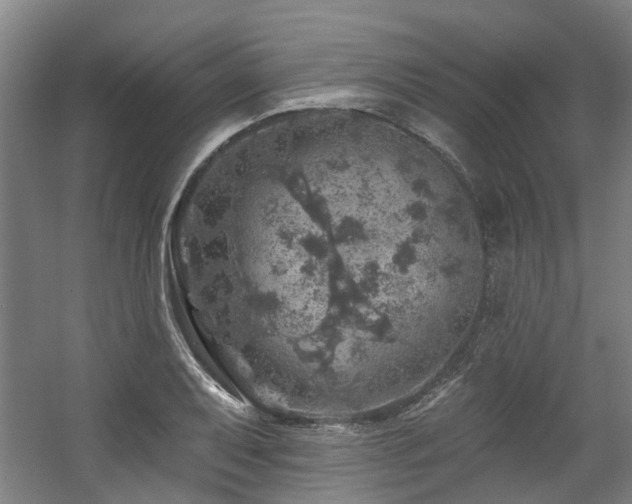 X0000057571079200509161027