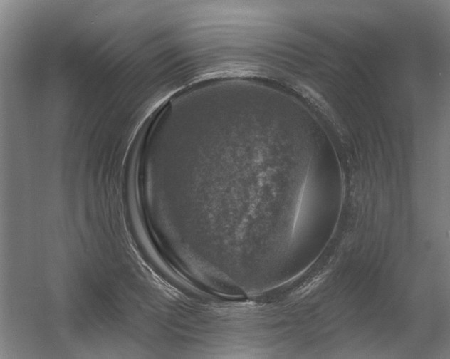 X0000057571081200509161027