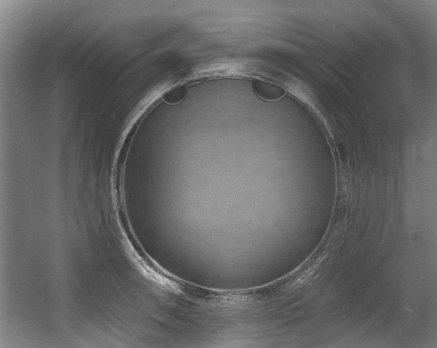 X0000057571090200509161027