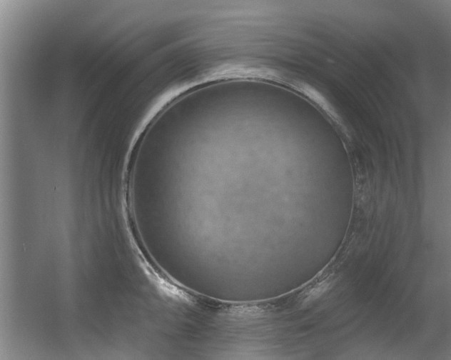 X0000057571094200509161027