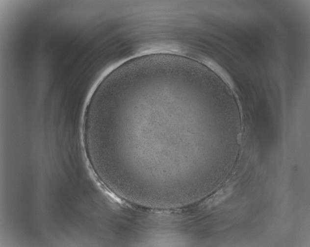X0000057571104200509161026