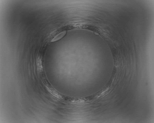 X0000057571106200509161026