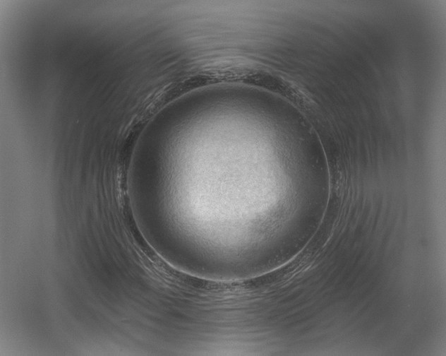 X0000057571108200509161026