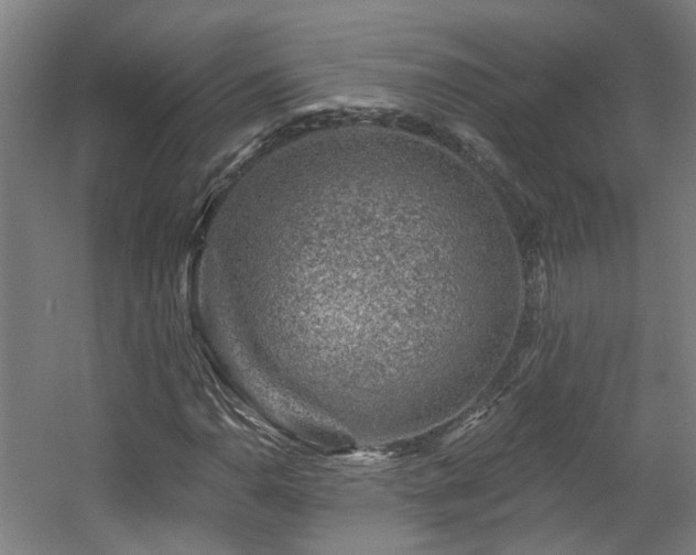 X0000057571110200509161026
