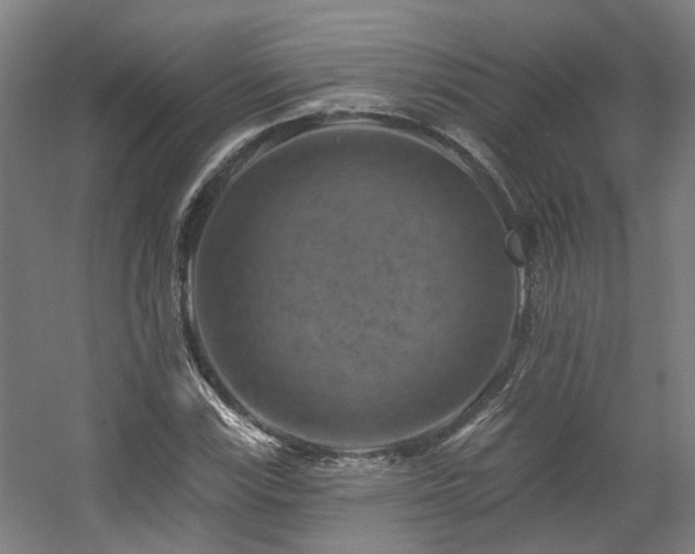 X0000057571115200509161026
