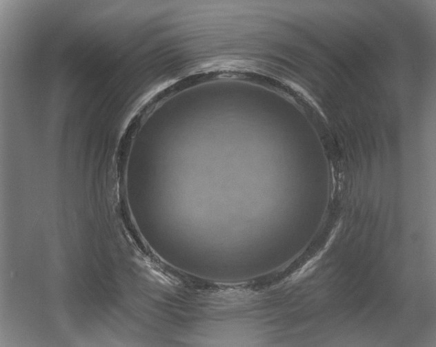 X0000057571117200509161026