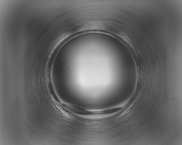 X0000057571119200509161026