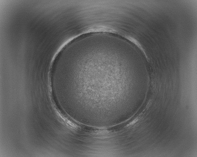 X0000057571120200509161026