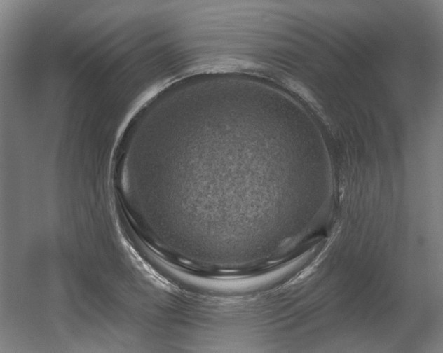 X0000057571122200509161026