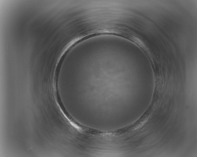 X0000057571141200509161026