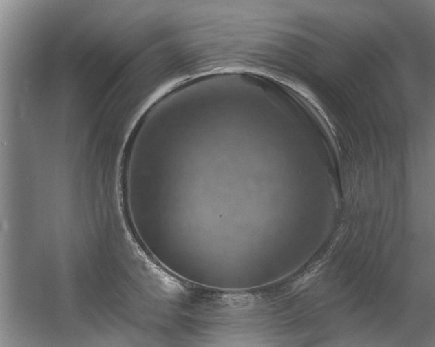 X0000057571142200509161026