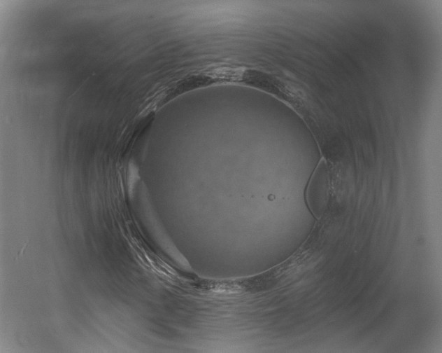 X0000057571154200509161026