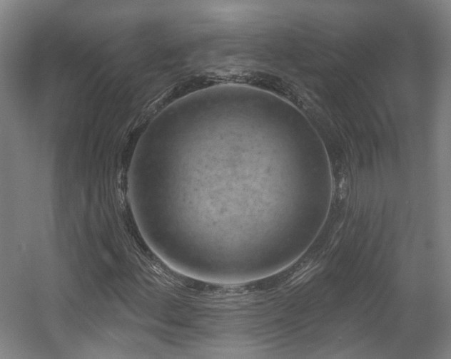 X0000057571156200509161026
