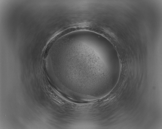 X0000057571160200509161025