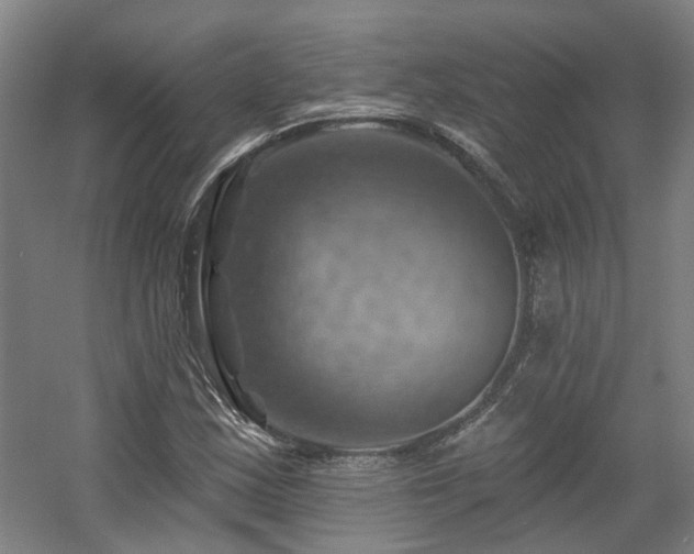 X0000057571163200509161025