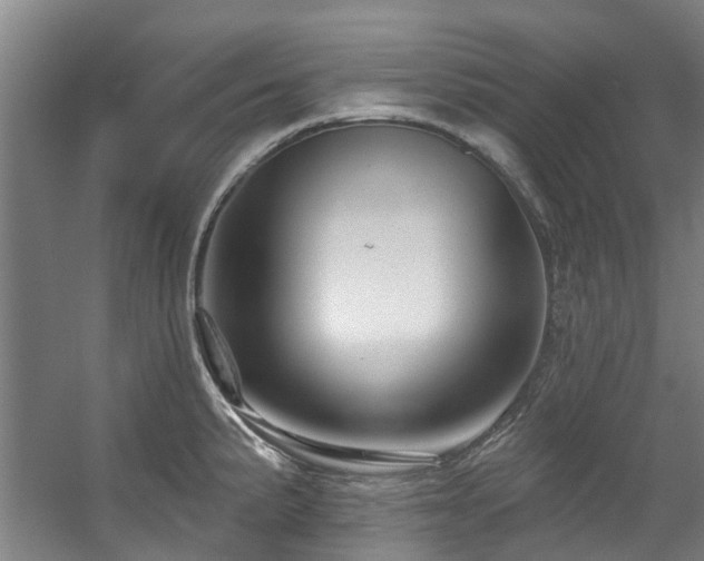 X0000057571191200509161025