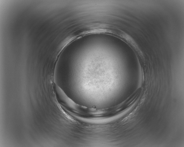 X0000057571193200509161025
