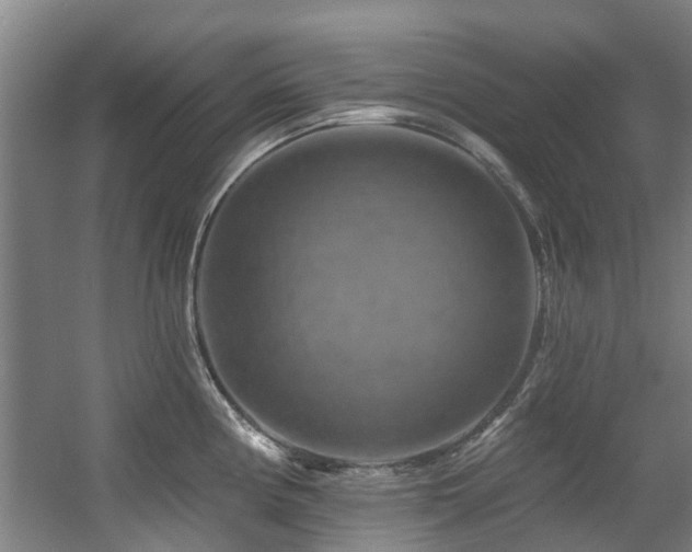 X0000057571194200509161025
