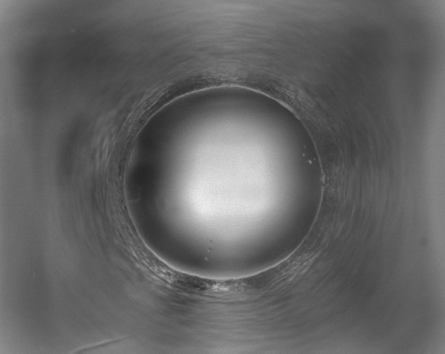 X0000057571201200509161024